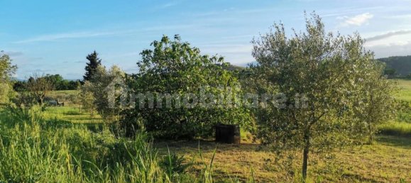 Terreno en Poggibonsi, Italy 3500 m² No. 297915 12