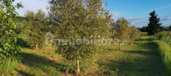 Terreno en Poggibonsi, Italy 3500 m² No. 297915 14