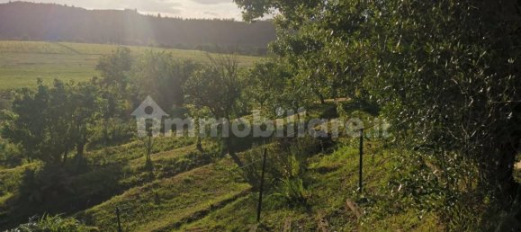 Terreno en Poggibonsi, Italy 3500 m² No. 297915 7