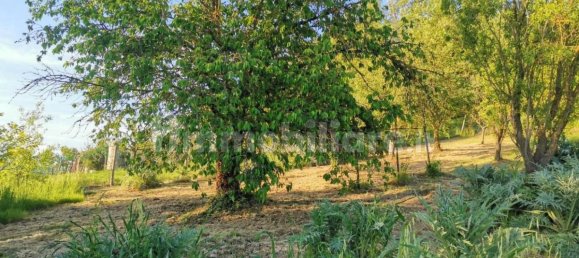 Terreno en Poggibonsi, Italy 3500 m² No. 297915 11