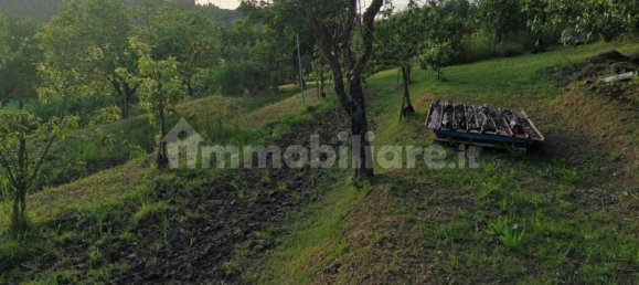 Terreno en Poggibonsi, Italy 3500 m² No. 297915 5