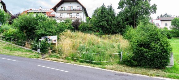 Terreno em Oberneukirchen, Austria N.º 143477 8