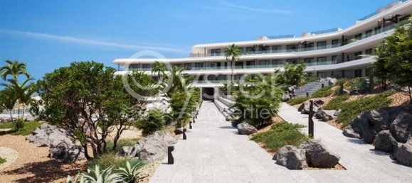 2 Schlafzimmer Wohnung in Adeje, Spain, Nr. 24727 10