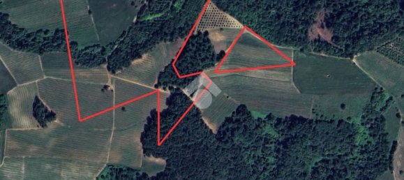 Casa de 20 habitaciónes en Dogliani, Italy No. 60546 48