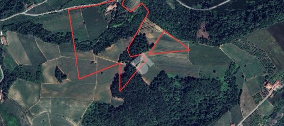 Casa de 20 habitaciónes en Dogliani, Italy No. 60546 46