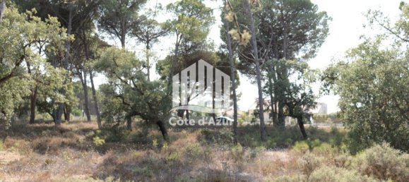 5000m² Land in Sesimbra, Portugal No. 139181 7