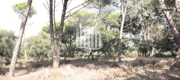 5000m² Land in Sesimbra, Portugal No. 139181 5