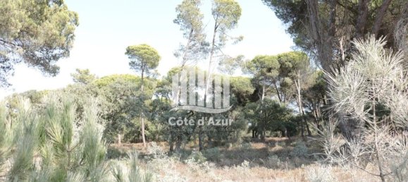 5000m² Land in Sesimbra, Portugal No. 139181 4