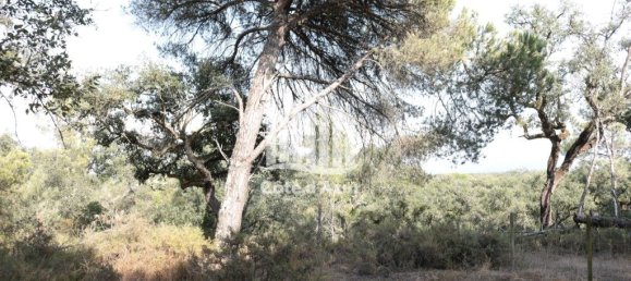 5000m² Land in Sesimbra, Portugal No. 139181 10