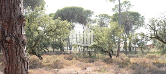 5000m² Land in Sesimbra, Portugal No. 139181 8