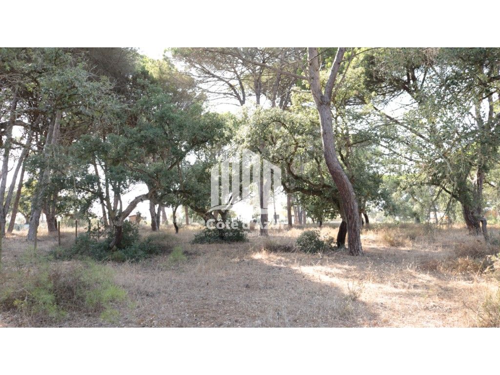 5000m² Land in Sesimbra, Portugal No. 139181