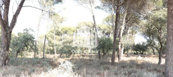 5000m² Land in Sesimbra, Portugal No. 139181 3