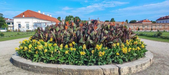 Apartamento de 3 divisões em Leopoldstadt, Austria N.º 218920 31