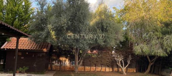 Casa T4 em Limassol, Cyprus N.º 16622 15