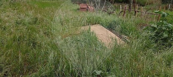 5000m² Land in Castelo Branco, Portugal No. 84240 12