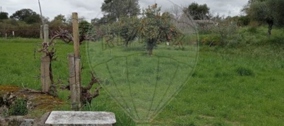 5000m² Land in Castelo Branco, Portugal No. 84240 10