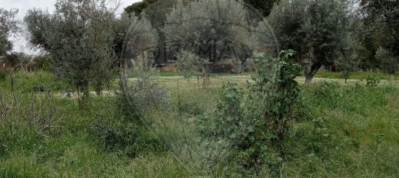 5000m² Land in Castelo Branco, Portugal No. 84240 11