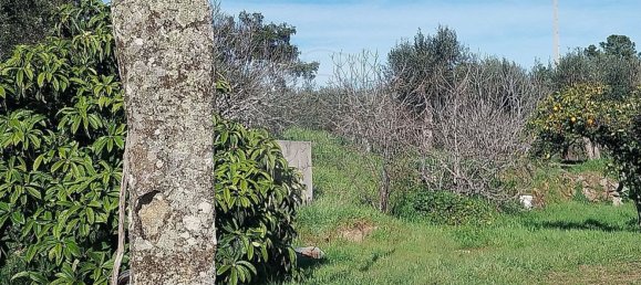 5000m² Land in Castelo Branco, Portugal No. 84240 3