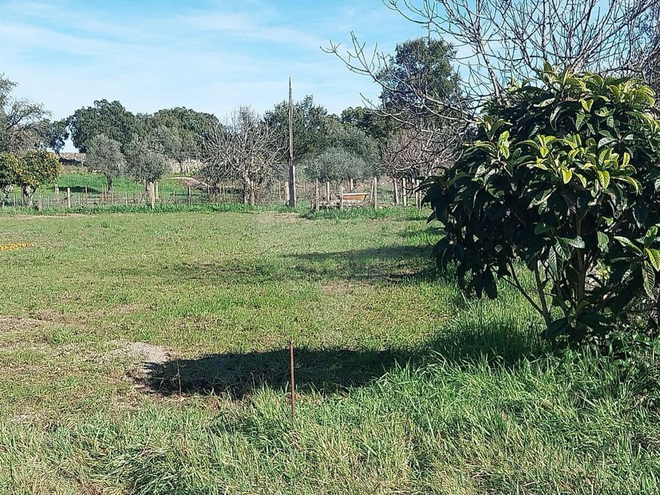 5000m² Land in Castelo Branco, Portugal No. 84240