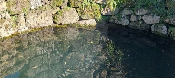 5000m² Land in Castelo Branco, Portugal No. 84240 4