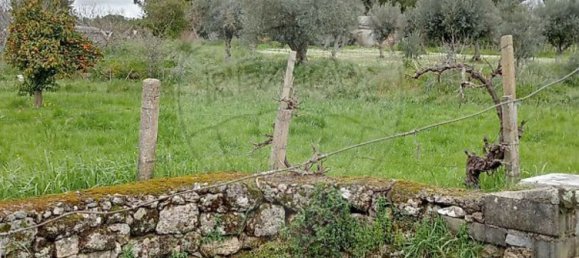 5000m² Land in Castelo Branco, Portugal No. 84240 13