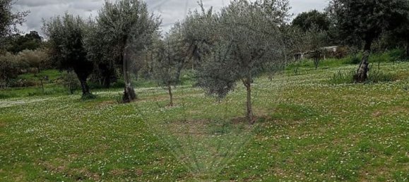 5000m² Land in Castelo Branco, Portugal No. 84240 14