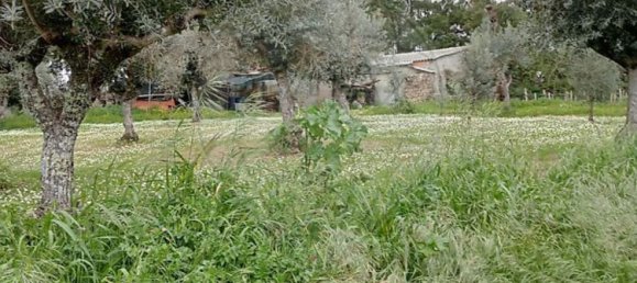 5000m² Land in Castelo Branco, Portugal No. 84240 15