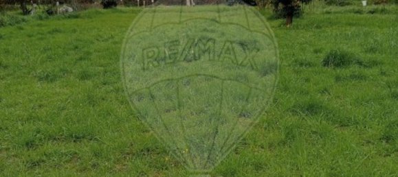 5000m² Land in Castelo Branco, Portugal No. 84240 9