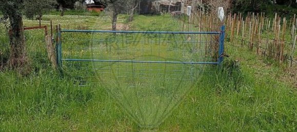 5000m² Land in Castelo Branco, Portugal No. 84240 17