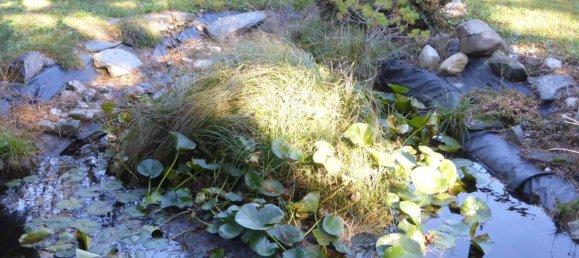 Casa de 5 habitaciónes en Steinberg-Dorfl, Austria No. 72830 4