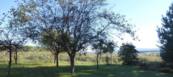 Casa de 5 habitaciónes en Steinberg-Dorfl, Austria No. 72830 3