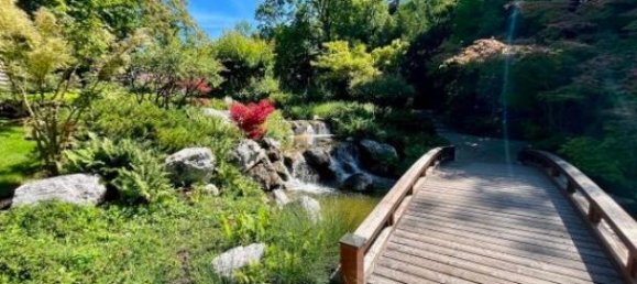 2 rooms Apartment in Dobling, Austria No. 171992 10