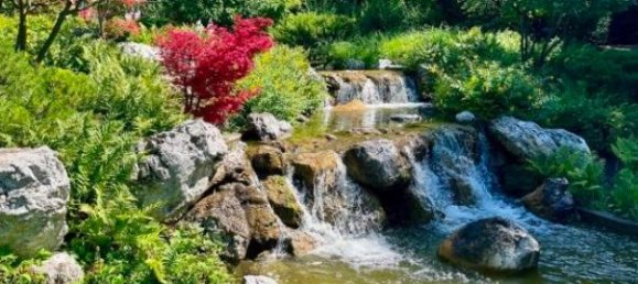 2 rooms Apartment in Dobling, Austria No. 171992 11