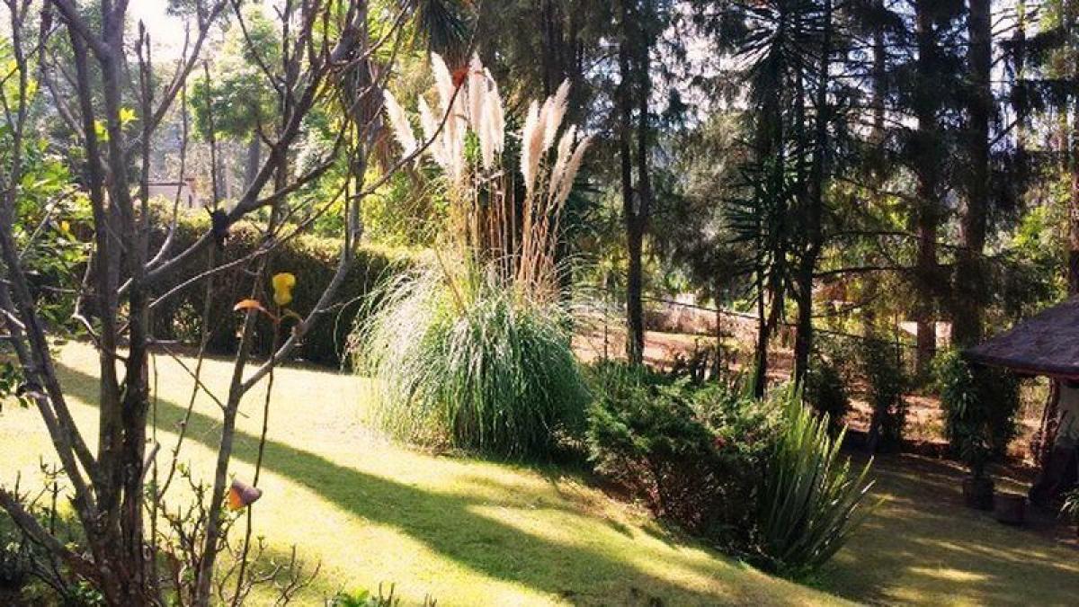 Terreno en Heroica Matamoros, Mexico No. 204821