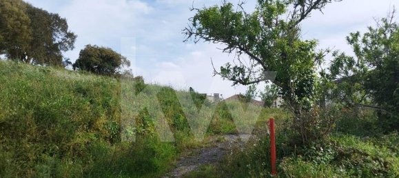 Terrain à Mafra, Portugal 1248m² No. 79875 13