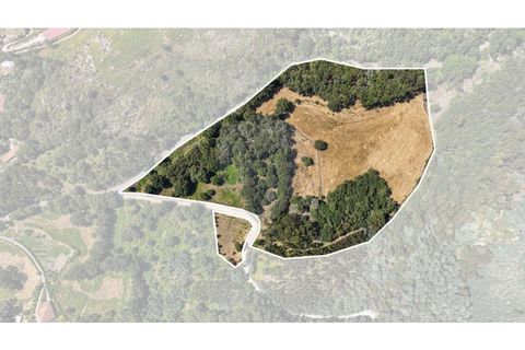 Grundstück in Cantelaes, Portugal, Nr. 259972