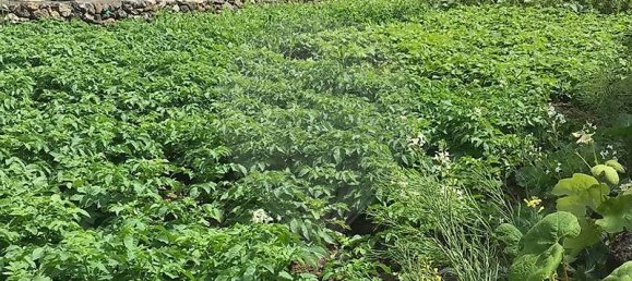 Casa T4 em Vila de São Sebastião, Portugal N.º 45405 5