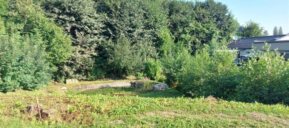 1224m² Land in Wildon, Austria No. 213500 6