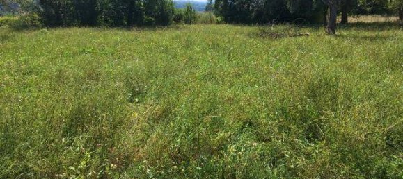 Terreno em Lanzenkirchen, Austria 2340 m² N.º 65900 4