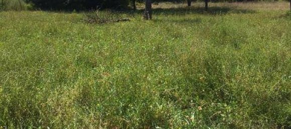 Terreno em Lanzenkirchen, Austria 2340 m² N.º 65900 5