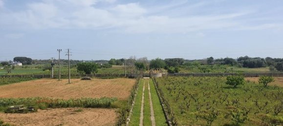 16-salle Maison à Monteroni di Lecce, Italy No. 235180 18