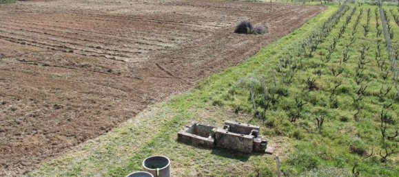 16-salle Maison à Monteroni di Lecce, Italy No. 235180 5