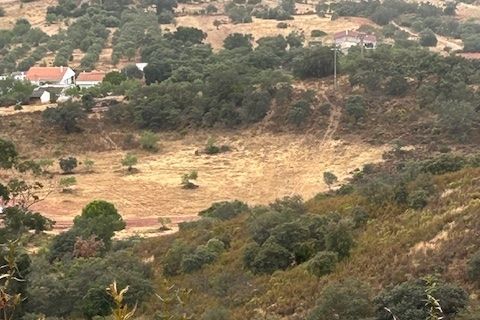 Terrain à Loule, Portugal No. 214598