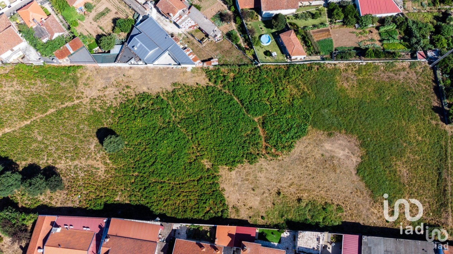  Land in Fiaes, Portugal No. 231026