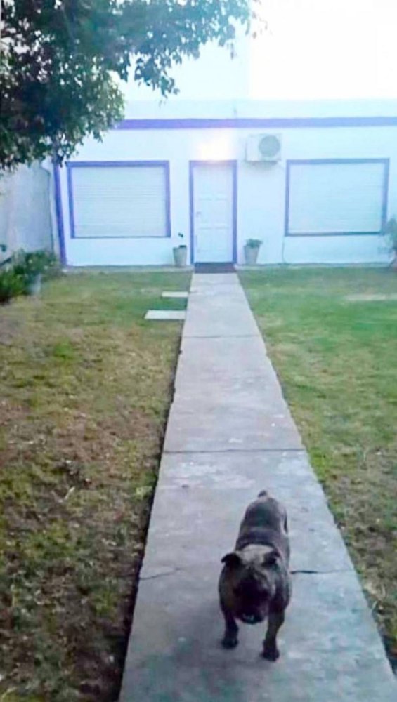 4 bedrooms House in San Isidro, Argentina No. 55585