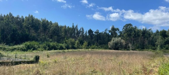 Grundstück in Viana do Castelo, Portugal 6272m², Nr. 88566 15