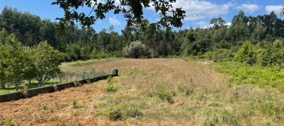 Grundstück in Viana do Castelo, Portugal 6272m², Nr. 88566 4