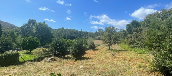 Grundstück in Viana do Castelo, Portugal 6272m², Nr. 88566 19