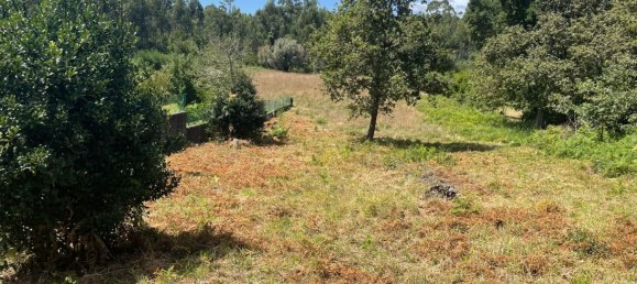 Grundstück in Viana do Castelo, Portugal 6272m², Nr. 88566 3