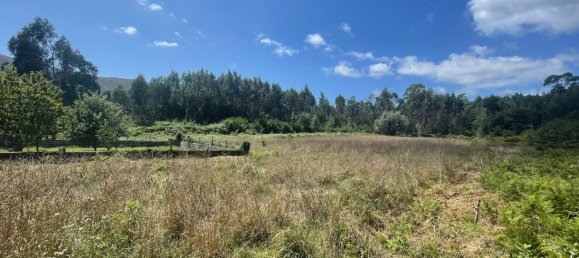 Grundstück in Viana do Castelo, Portugal 6272m², Nr. 88566 12